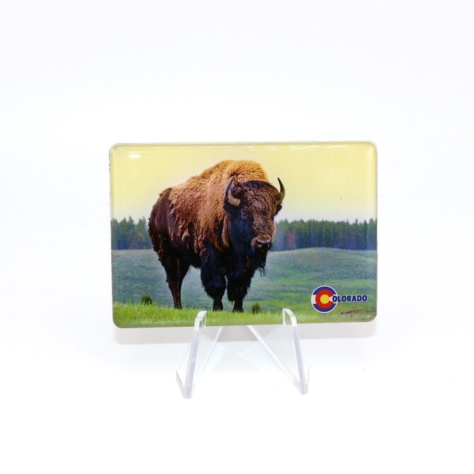 Paykoc Imports,inc. Assorted Colorado Magnets