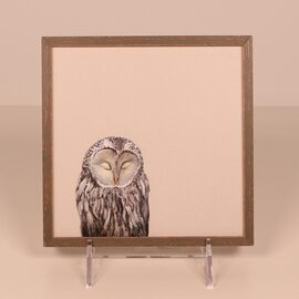Greenbox Art Mini Framed Art - Find Your Zen Owl