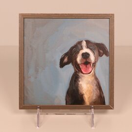 Greenbox Art Mini Framed Art - Who's A Good Boy