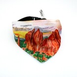 WHITECLOUD MARKETING Dog Collar/Bandana - Garden of the Gods
