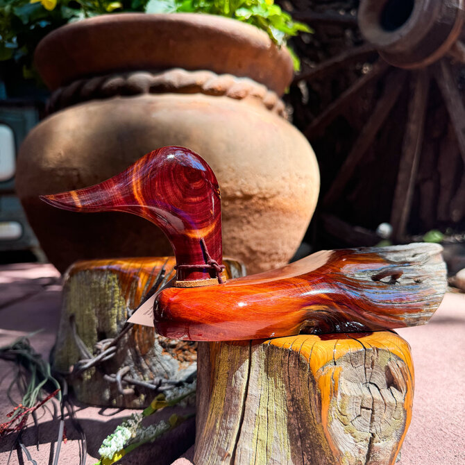 ROCKY MOUNTAIN RUSTIC Duck - Medium