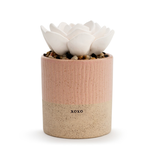 Demdaco/misc Product DIFFUSER-XOXO/FLOWER
