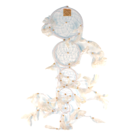 BARRY OWEN INC D/C-5 DROP/WHT