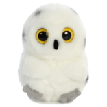 HOOT-OWL