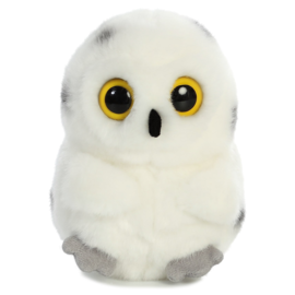 HOOT-OWL