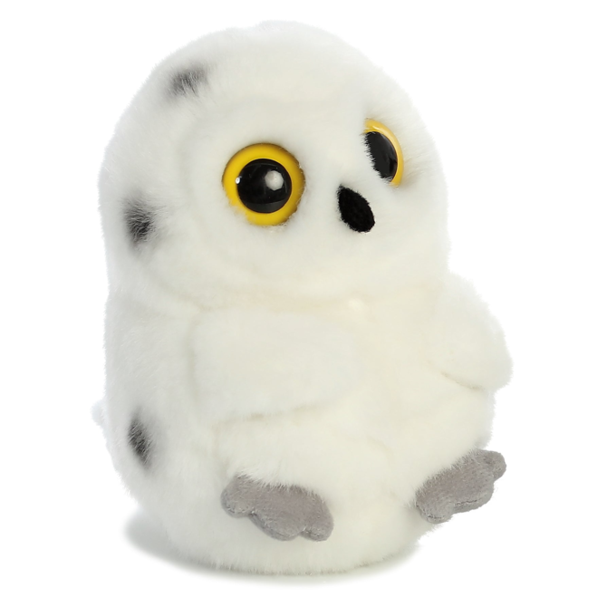 HOOT-OWL