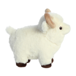 RAM 8"