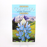 WILDFLOWER COMPANY Seed Packet/Postcard - Wild Lupine