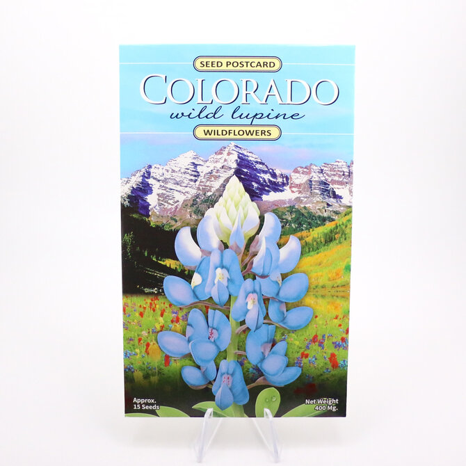 WILDFLOWER COMPANY Seed Packet/Postcard - Wild Lupine