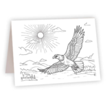 AHAVA RIVER CARD-COLOR EAGLE FLIGHT AHAVA RIVER CARD-COLOR EAGLE FLIGHT