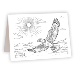 AHAVA RIVER CARD-COLOR EAGLE FLIGHT AHAVA RIVER CARD-COLOR EAGLE FLIGHT