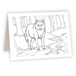 AHAVA RIVER CARD-COLOR WOLF
