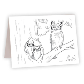 AHAVA RIVER CARD-COLOR OWL AHAVA RIVER CARD-COLOR OWL