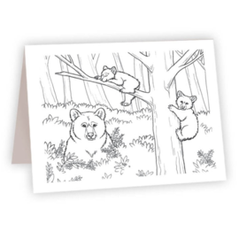 AHAVA RIVER CARD-COLOR BEARS