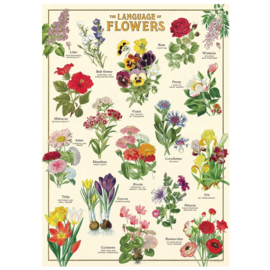 Cavallini Papers/co Inc Chart - Language of Flowers