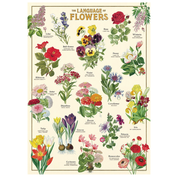 Cavallini Papers/co Inc Chart - Language of Flowers