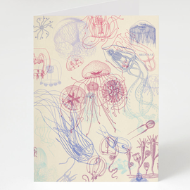Cognitive Surplus CARD - Jellyfish