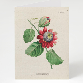 Cognitive Surplus CARD - Cognitive Surplus
