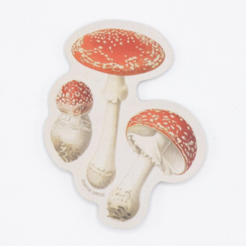 Cognitive Surplus STICKER - Poisonous Mushrooms