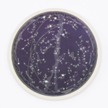 Cognitive Surplus STICKER - Star Chart