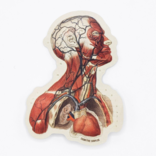 Cognitive Surplus STICKER - Head Anatomy