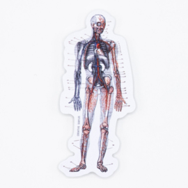 Cognitive Surplus STICKER - Anatomy