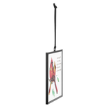 Demdaco/misc Product Suncatcher - Cardinal Pair