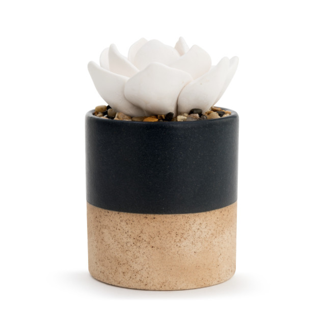 Demdaco/misc Product Diffuser - Navy/Flower