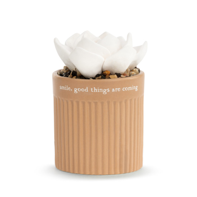Demdaco/misc Product Diffuser - Smile/Flower