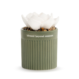 Demdaco/misc Product Diffuser - Blessed