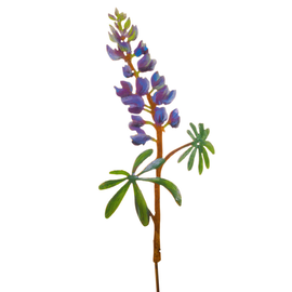ELEGANT GARDEN DESIGN Garden Pick - Lupine