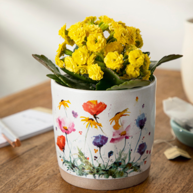 Demdaco/misc Product Planter & Journal Gift Set - Wildflowers