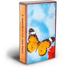 Houston Llew Chrysalis