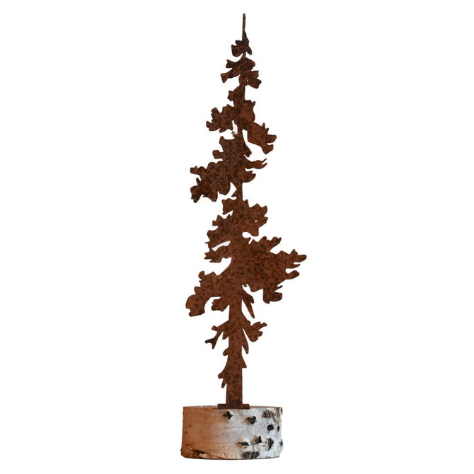 ELEGANT GARDEN DESIGN Pine Tree - Medium