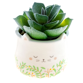 Karma Succulent Pot - Cat