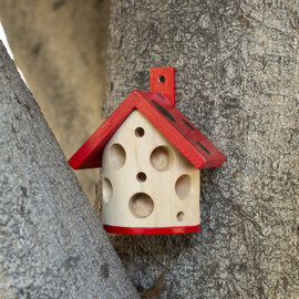 KIKKERLAND Ladybug House