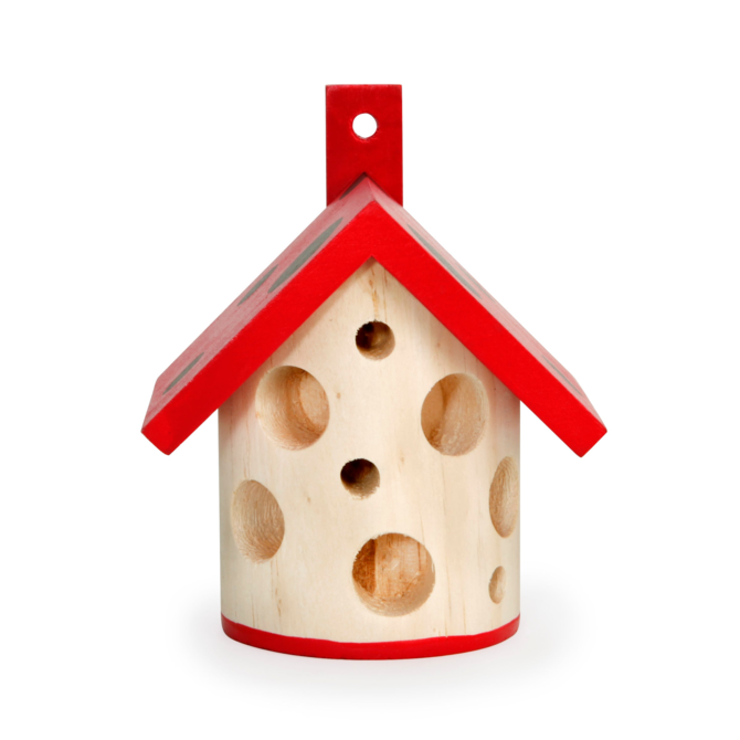 KIKKERLAND Ladybug House