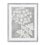 Napa Home & Garden PRINT-QUEEN ANNE'S LACE 1 FLWR