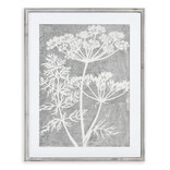 Napa Home & Garden PRINT-QUEEN ANNE'S LACE 2 FLWR