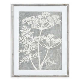 Napa Home & Garden PRINT-QUEEN ANNE'S LACE 2 FLWR