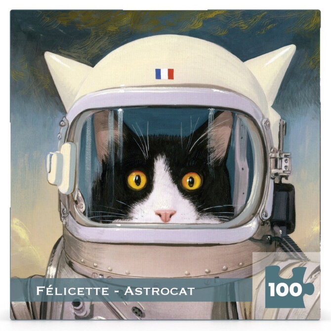 NEW YORK PUZZLE CO 100 Piece Puzzle - Felicette Astrocat