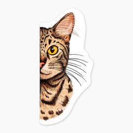 Nice Enough Stickers Mini Sticker - Pitten
