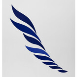 Nielsen Trading, Inc. Mobile - Blue Rhythm