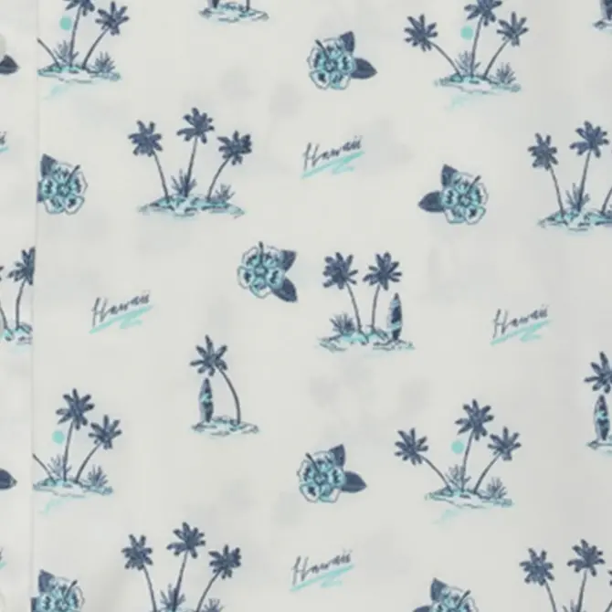 Flag & Anthem Men's Shirt - Somers Island Print