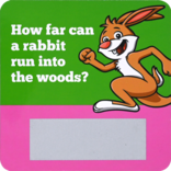 PETER PAUPER PRESS Lunch Box Notes - Riddles