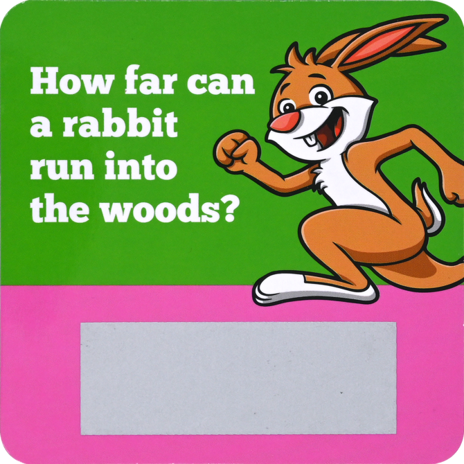 PETER PAUPER PRESS Lunch Box Notes - Riddles