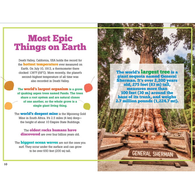 PETER PAUPER PRESS The Big Book of Useless Facts