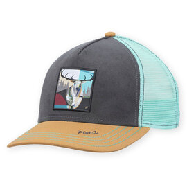 Pistil/totes Isotoner Hat - Wilder