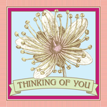 POTLUCK PRESS LLC CARD-THINKING OF YOU HELLEBORE