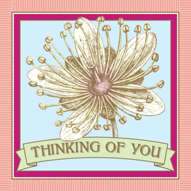 POTLUCK PRESS LLC CARD-THINKING OF YOU HELLEBORE